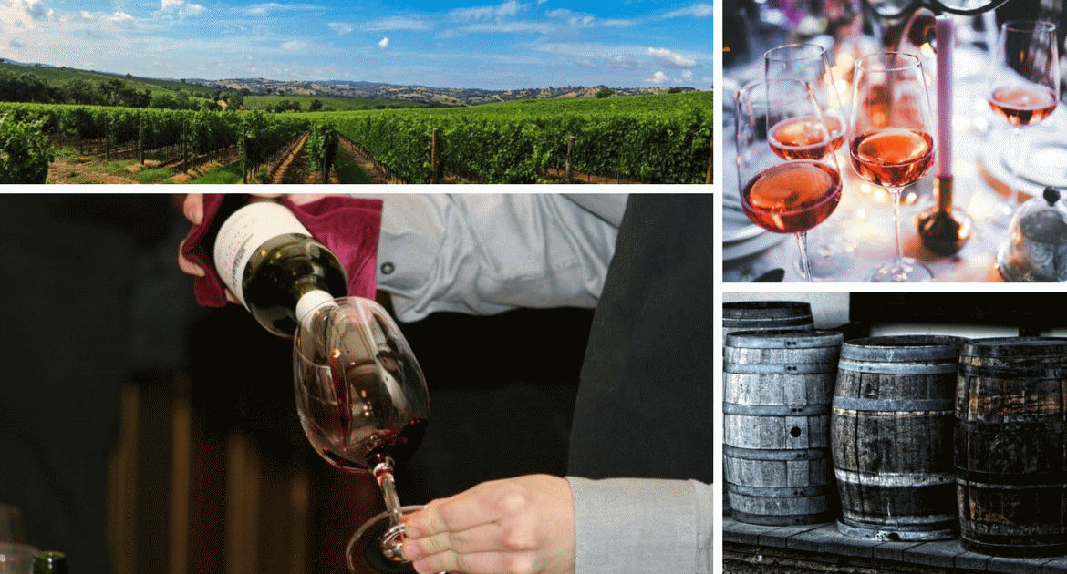 Sziráki bortúra – fedezd fel a térség borait, borkülönlegességeit